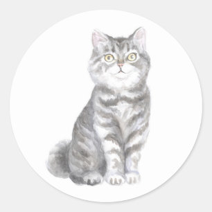 Cute Cat Grey Silver Tabby Kitten Kitty Lover Mum Classic Round Sticker