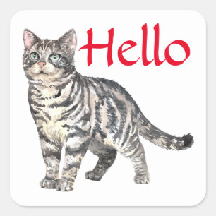 Cute Cat Hello Tiger Kitten Kitty Thinking of You Square Sticker