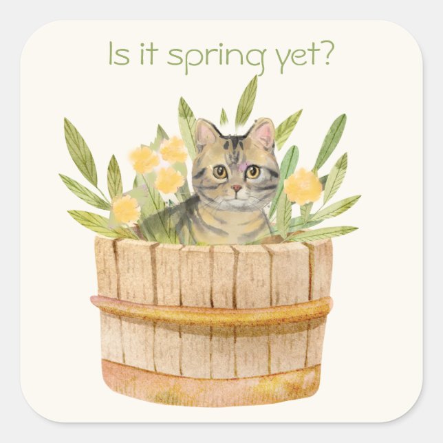 Cute Cat in a Barrel of Flowers Square Sticker (Front)