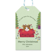 Cute Cat in a Box Here for the Boxes Christmas