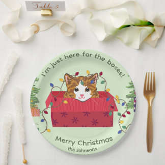 Cute Cat in a Box Here for the Boxes Christmas Paper Plate