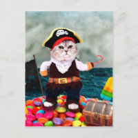 Cute cat in a pirate costume