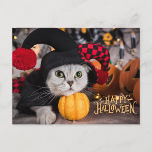 Cute Cat in Funny Halloween Costume Holiday Postcard