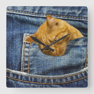 Cute cat in jeans pocket funny illusion square wall clock