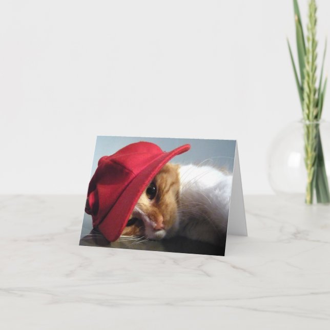 Cute Cat in Red Cap Blank Note Card (Front)