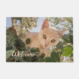 Cute Cat Kitten climbing in an Eucalyptus Tree Doormat