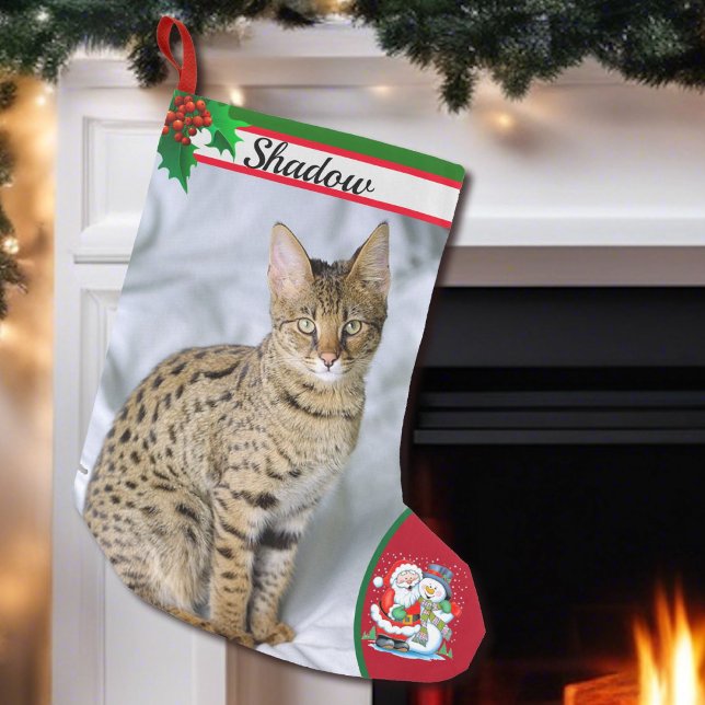 Cute Cat Kitten Photo Christmas Stocking Name (Creator Uploaded)