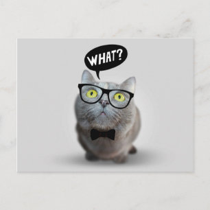 Cute Cat kitten with glasses what quote print Postcard