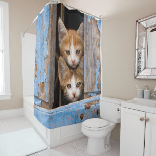 Cute Cat Kittens in a Blue Vintage Window Animal - Shower Curtain