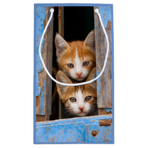 Cute Cat Kittens in a Blue Vintage Window Animal - Small Gift Bag