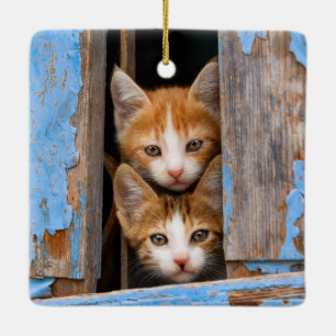 Cute Cat Kittens in a Blue Vintage Window Photo - Ceramic Ornament