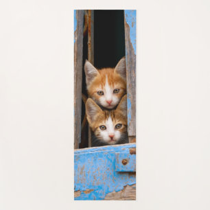 Cute Cat Kittens in a Blue Vintage Window Photo Yoga Mat