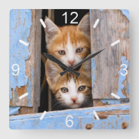 Cute Cat Kittens in Blue Vintage Window dial-plate