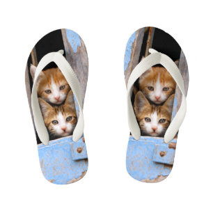 Cute Cat Kittens in Blue Vintage Window Photo Kids Kid's Jandals