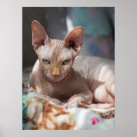 Cute Cat Lounging with no Fur