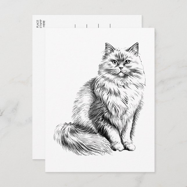 Cute Cat Lover Illustration  Hello, Miss You, Love Postcard (Front/Back)