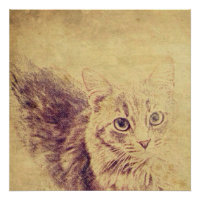 Cute cat lover pencil sketch grey tabby cat