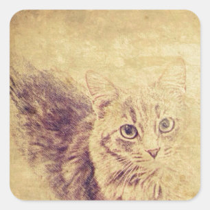Cute cat lover pencil sketch grey tabby cat square sticker