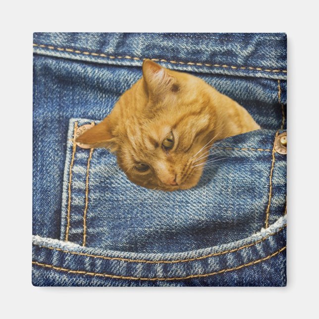 Cute Cat Lovers Keepsake gift Magnet (Front)