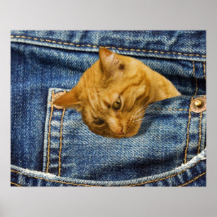Cute Cat Lovers Keepsake gift Poster