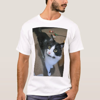 Cute cat men's tshirt 