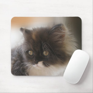 Cute Cat Mouse Pad