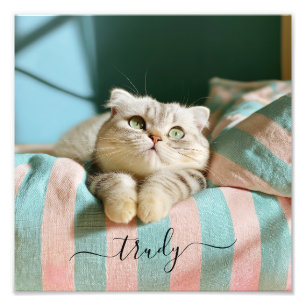 Cute Cat Name 10x10 Photo Print