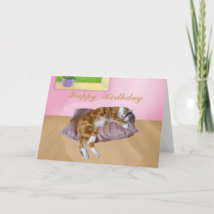 Cute Cat Napping Card