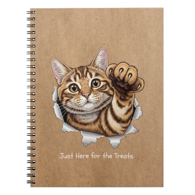 Cute Cat Notes - Spiral Photo Notebook (Front)