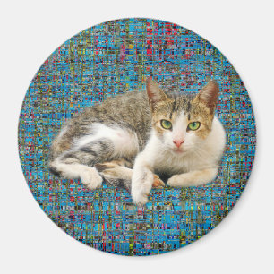 Cute cat on abstract background magnet