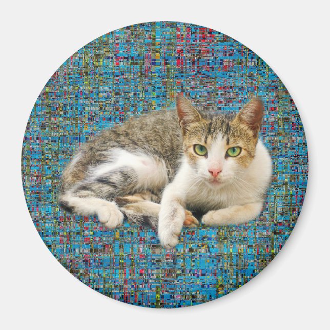 Cute cat on abstract background magnet (Front)