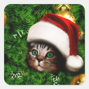 Cute Cat on Christmas tree Square Sticker