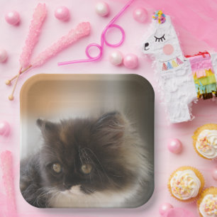 Cute Cat Paper Plate