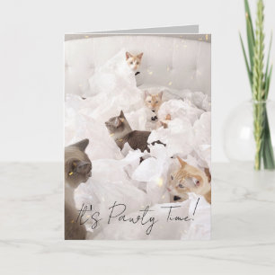 Cute Cat Pawty Time Birthday Greeting Card