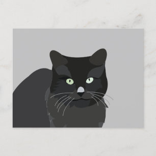 Cute Cat Pet Animal Postcard