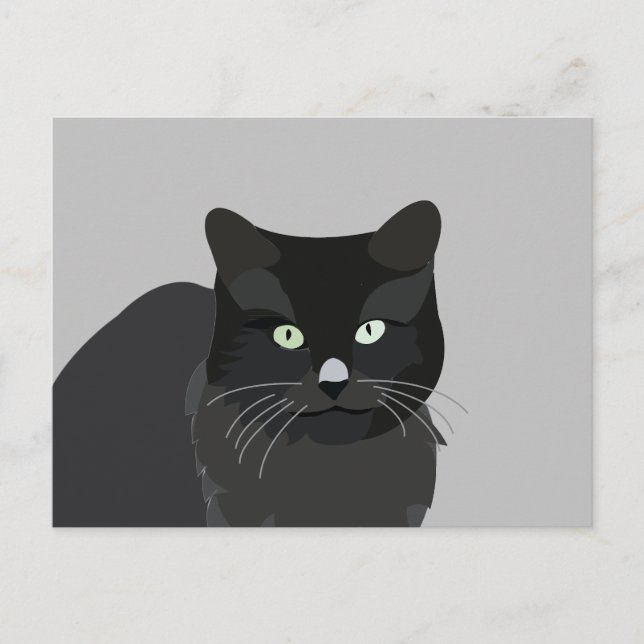 Cute Cat Pet Animal Postcard (Front)