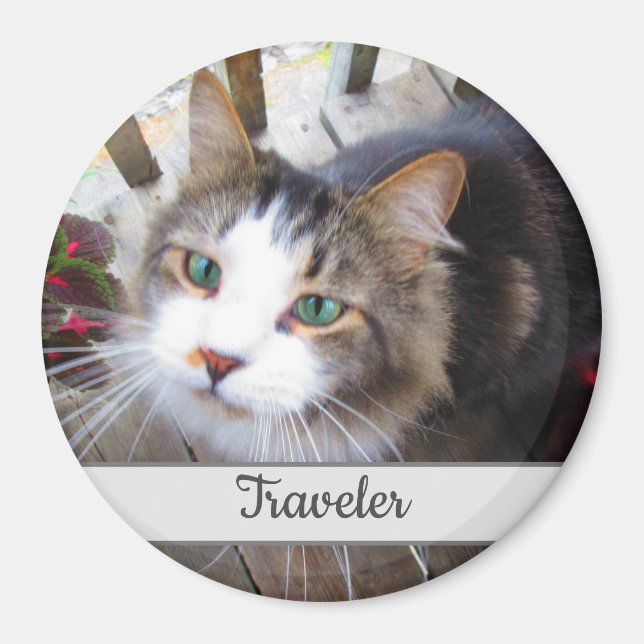 Cute Cat Pet Lovers Create Your Own Custom Magnet (Front)