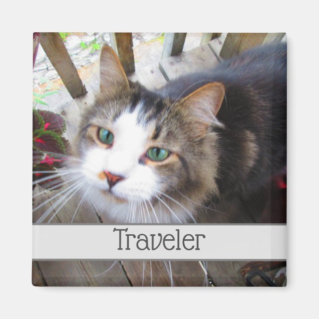 Cute Cat Pet Lovers Create Your Own Custom Magnet (Front)