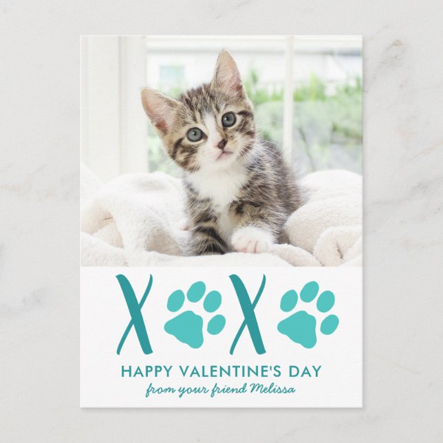 Cute Cat Pet Photo Valentine XOXO Holiday Card (Front)