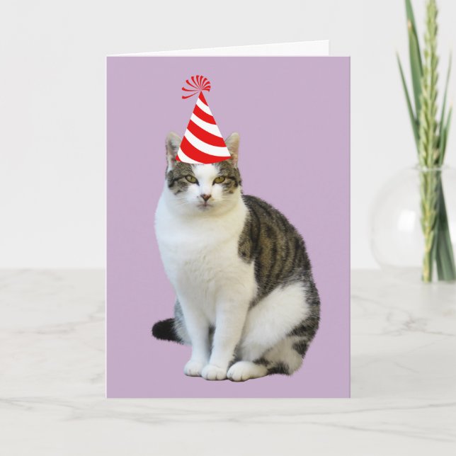 CUTE CAT PHOTO BIRTHDAY CARDS (Front)