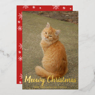Cute Cat Photo Fun Modern Christmas