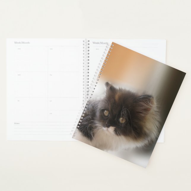 Cute Cat Planner (Display)