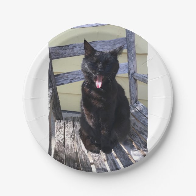 Cute cat plate (Front)