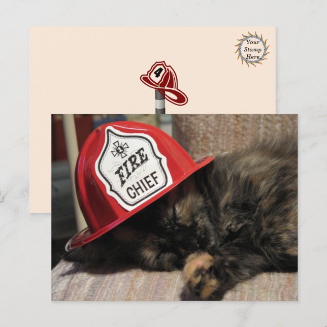 Cute Cat Postcard - Fire Chief  (Front/Back)