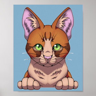 Cute Cat Poster