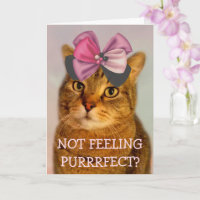 Cute Cat Pun Joke Get Well