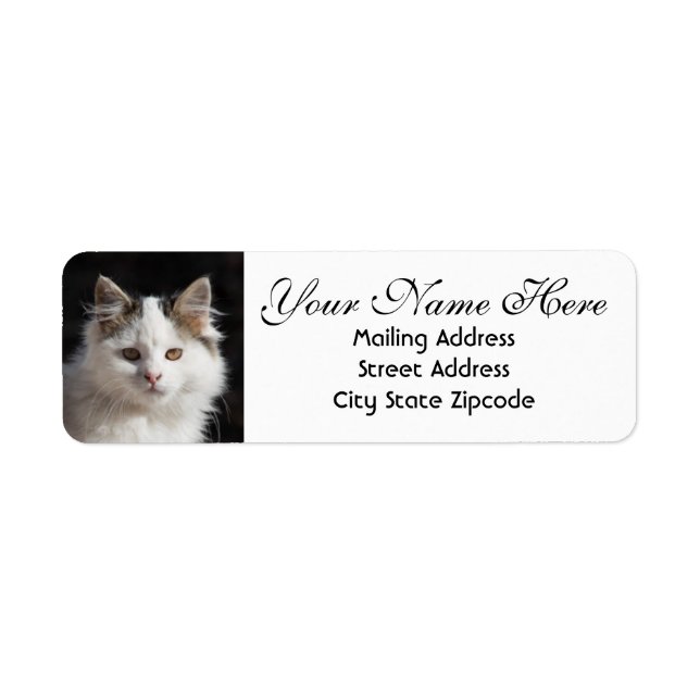 Cute Cat Return Address (Front)