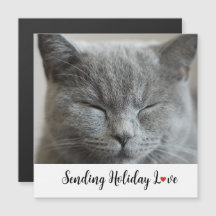 Cute Cat Sending Holiday Love