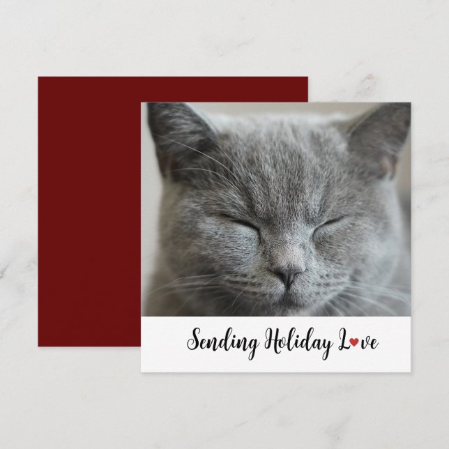 Cute Cat Sending Holiday Love (Front/Back)