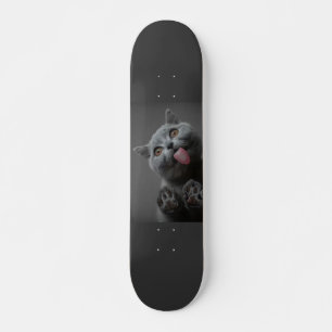 Cute Cat Skateboard